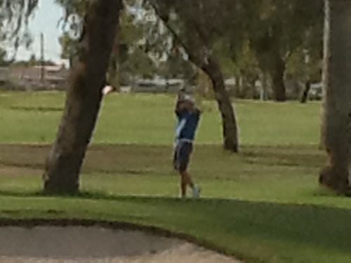 image /assets/images/0-15-PTLlkh0YsfcAxQO4.jpg