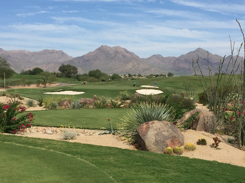 image /assets/images/0-33-APWB0VzDG4bX4jqK.jpg