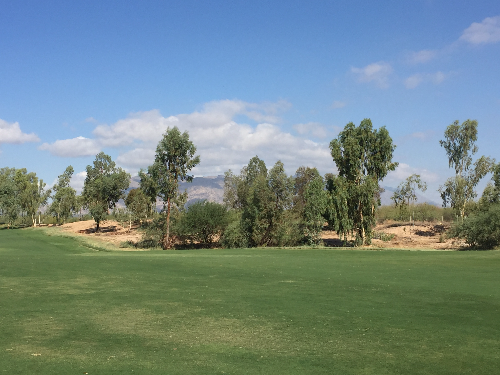 image /assets/images/0-33-I0AugG54wDItNBpb.jpg